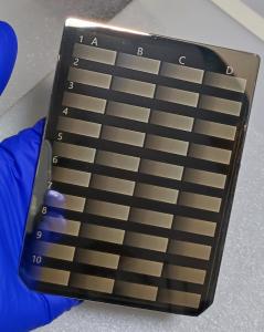 IMG 20220309 103154 (1)